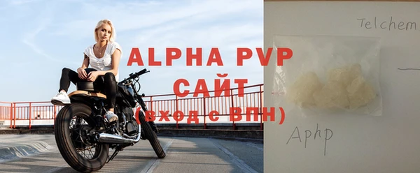 гидра Бородино