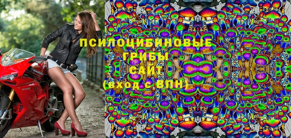 гидра Бородино