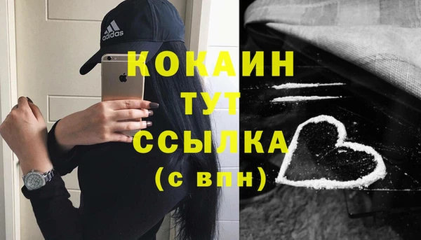 гидра Бородино